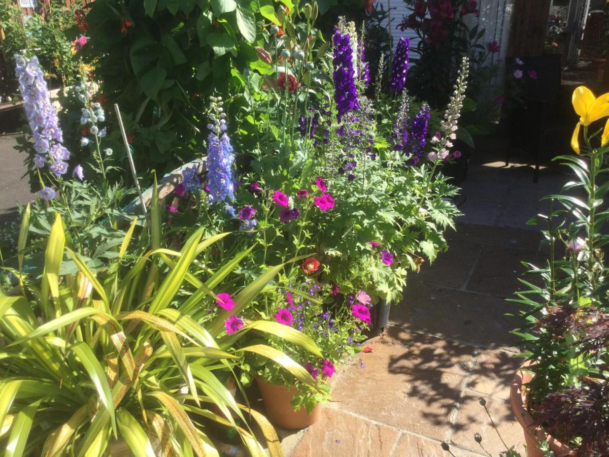 Albertine ,A Warm Welcome Awaits You ,Offering Room Only Or Bed And Breakfast ,Ideal Location For Solent Way ,High Street ,Isle Of Wight ,New Forest Лімінгтон Екстер'єр фото